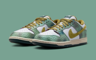 Official Images Alexis Sablone x Nike SB Dunk Low House of Heat